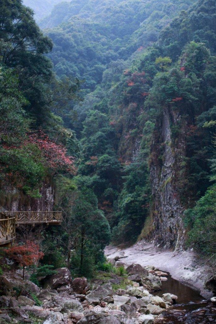 龙腾虎跃、鱼跃龙门,形容词都不够用了,西湖景区龙形花灯出圈